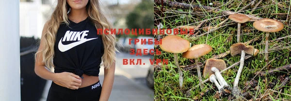 мескалин Майский