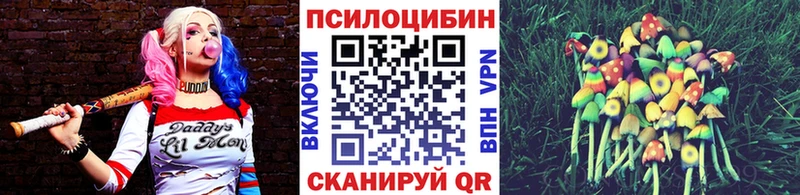 продажа наркотиков  Невельск  Псилоцибиновые грибы Psilocybe 